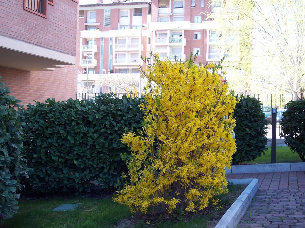 B&B Il Parco Parma Bagian luar foto